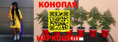 ALPHA PVP Малгобек