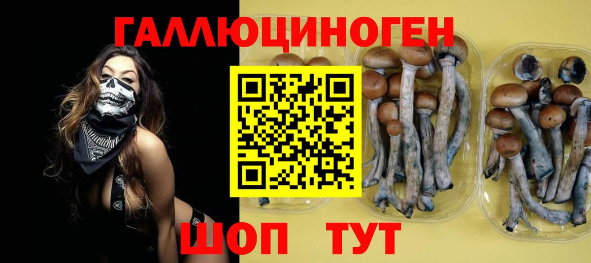 Галлюциногенные грибы MAGIC MUSHROOMS  Вход с VPN  Ставрополь  Галлюциногенные грибы ЛСД 